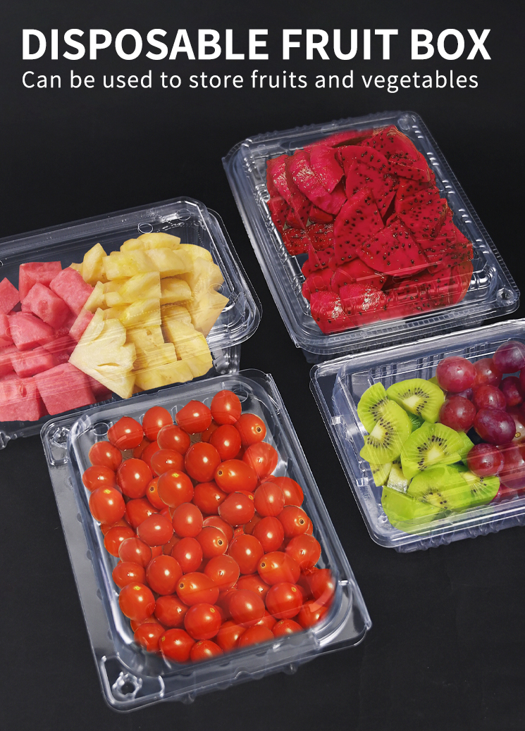 Clamshell Disposable Plastic Food Containers Recyclable Clear PET Bakery Box