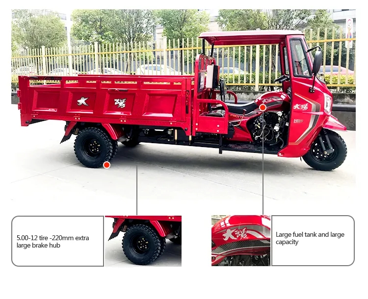 300cc 250cc Dayang Motorcycle Trike with 5.0-12 Tyre and Advanced Engine Design