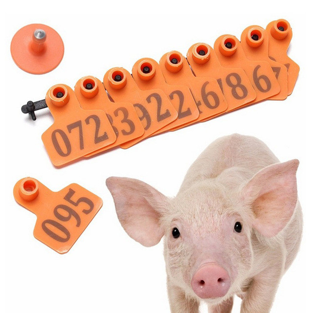 Yellow Color Livestock Ear Tags TPU Material Not Easy To Fall Off ISO9001