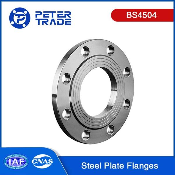 BS4504 CODE101 A105/Q235 PN10 Carbon Steel Blank Flange Plate Flange DN10 -