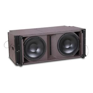 double 10 inch two way line array speaker LA210
