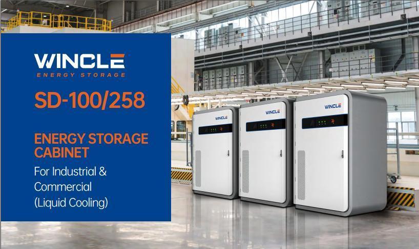 258kwh Battery Cabinet with LFP Battery Case for C&I Energy