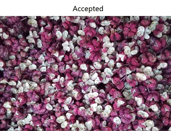 3.0 kw Effective Algorithm Spice Color Sorter