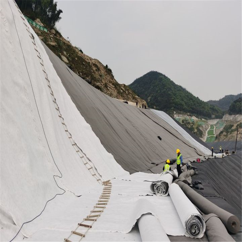 HDPE Composite Geonet Plastic Geocomposite for Drainage and Protection Installations
