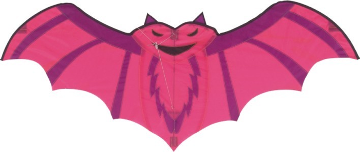 5bft Stackable Bat Kite , Single Line Kids Flying Kites