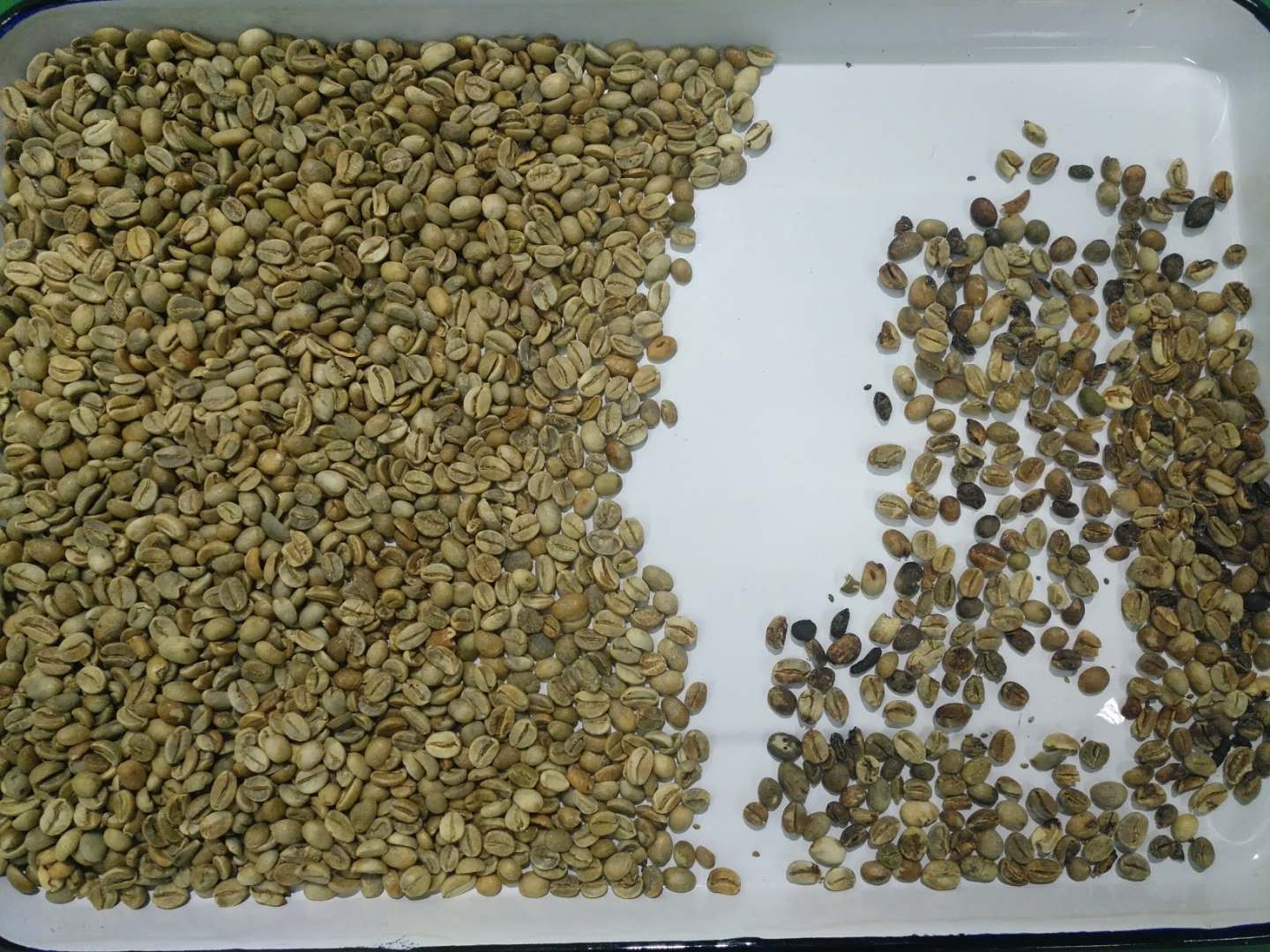 Lentil Color Sorter Machine For Choosing Red White And Black Color