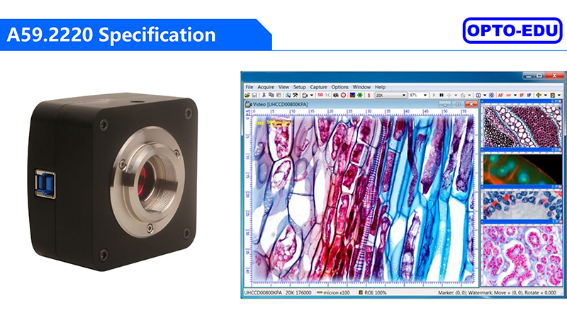OPTO EDU A59.2220 USB3.0 CCD Digital Microscope Camera