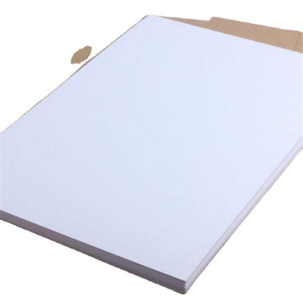 Top Selling A4 Paper 75 80 GSM Jumbo Roll with 45% Surface Gloss and 88%