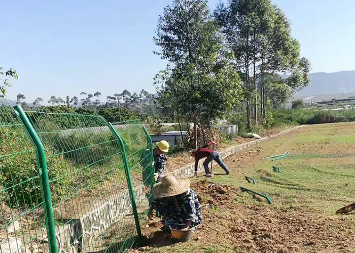 Guardrail Net 450 Wire Bending Weld Mesh Panels For Construction Site
