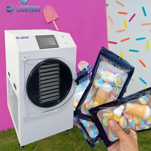 Vacuum Freeze Dryer Multifunctional Home Freeze Drying Machine For Vegetable