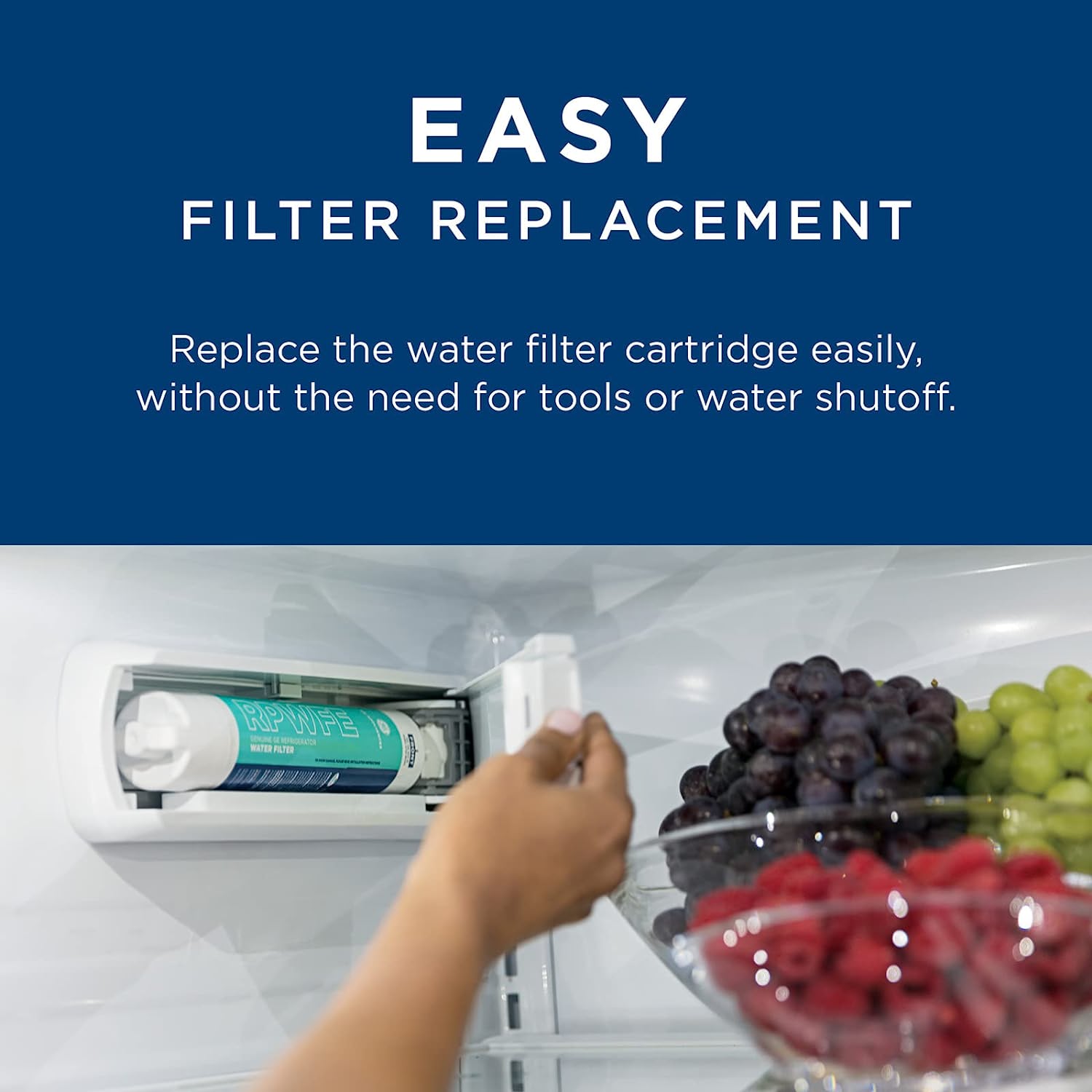 Top- RPWFE Refrigerator Water Filters Replacement for Lead Sulfur and Other Impurities