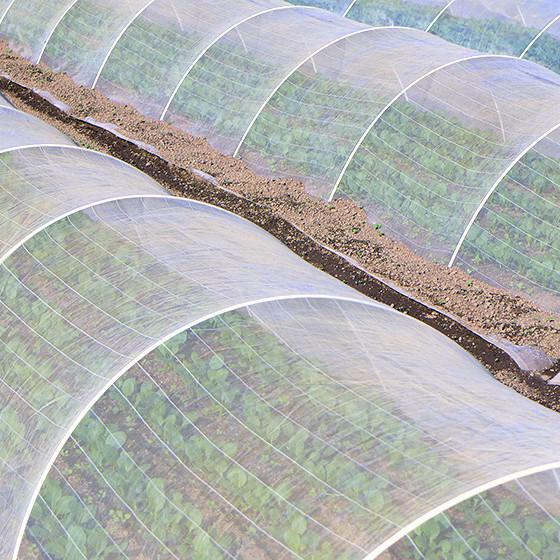 100 Polypropylene Fabric , Spunbond Non Woven Fabric Used In Agriculture