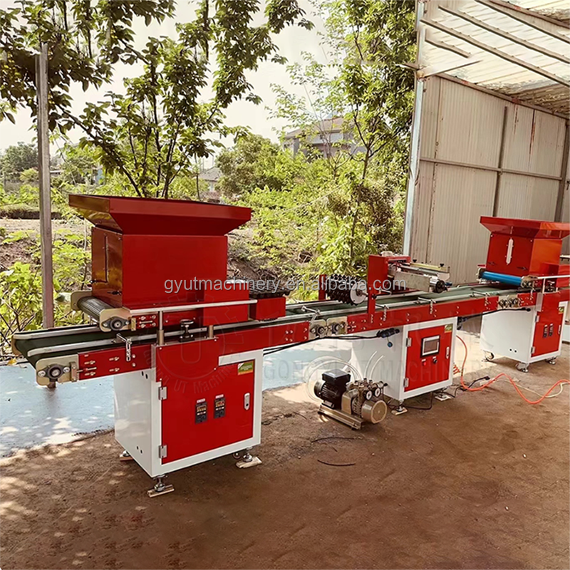 7 Rows Vegetable Tray Seeding Machine for Good Economic Benefits and Easy Operation