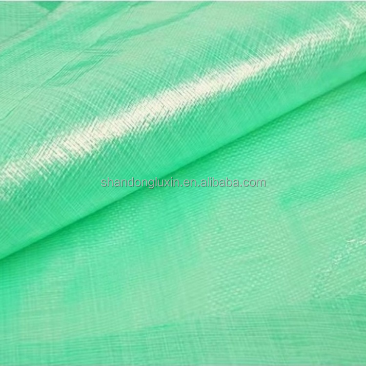Printed PE Tarpaulin Cover for Rainproof Roofing in Customer Request Color