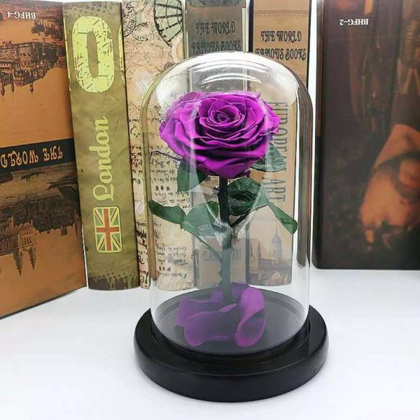 Wholesale Forever Roses preserved roses in glass dome Fresh flower rose