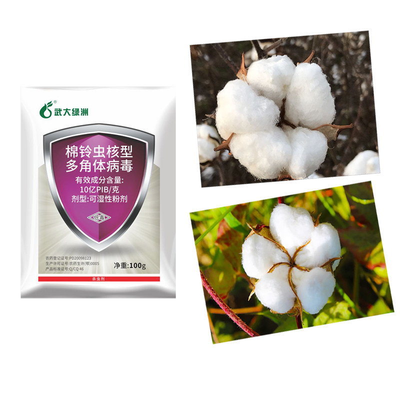 HaNPV WP Pure Organic Armigera Cotton Insecticides For Vegetable Crops