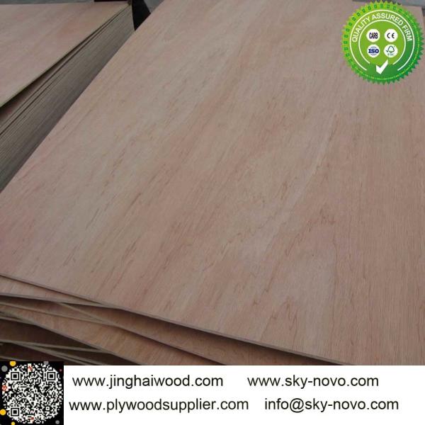 Bintangor plywood