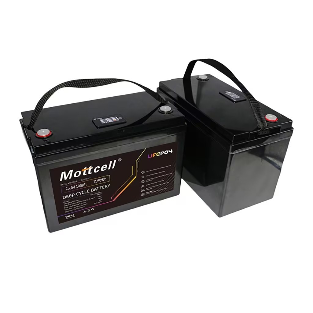 Lithium Ion Phosphate LiFePO4 Rechargeable Battery Power Pack 24V 100A 24V Charge Current