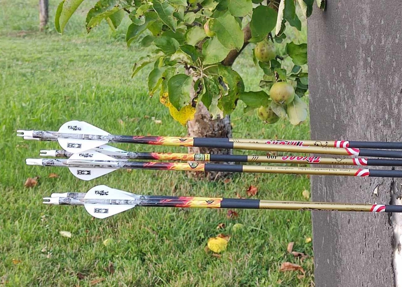 Whole Sales Arrows Supplier, Id .165".204",245", 4.2/5.18/6.2mm Hunting/Target /3d Carbon Arrow With Logo Printed