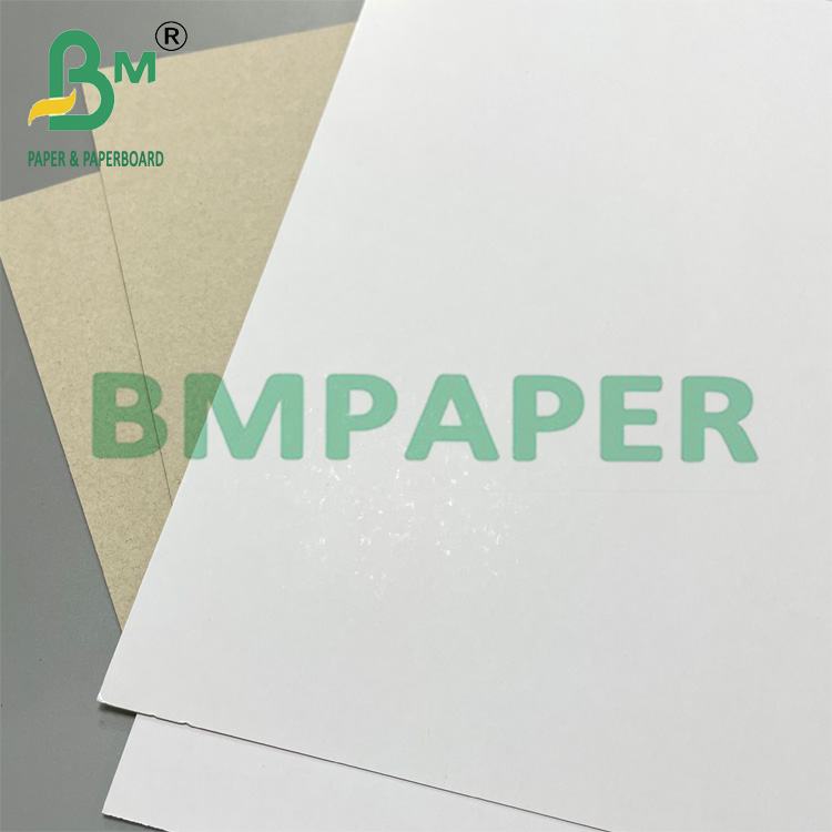 250gsm 300gsm Coated Duplex Paperboard For Light Weight Packaging