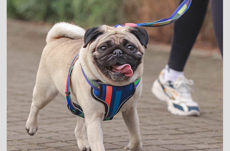 Custom Colors Dog Harness Logo Reflective Reversible Luxury Pet Collars Harness and Leash Set for Extra Large Dogs