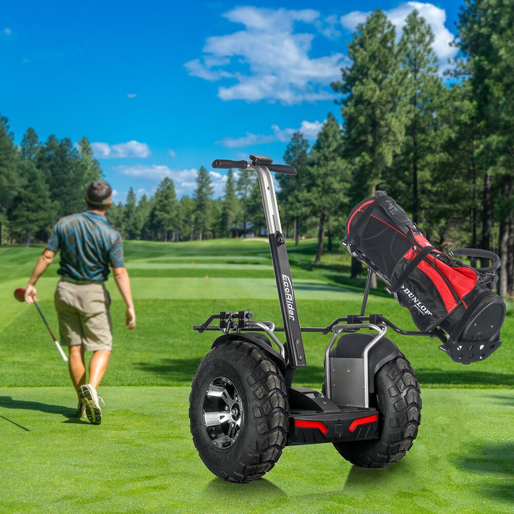 Double Battery 4000W Brushless Motor Segway Elctric Scooter For Golf Ecorider E8