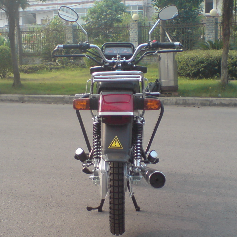 Air Cooled Adult Street Legal Gas Bike 150cc Street Bike CDI Ignition