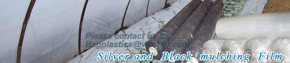 Transparent / Black / Silver / White color Plastic PE LDPE Agriculture Mulching Film,panda strawberry mulch film/black w
