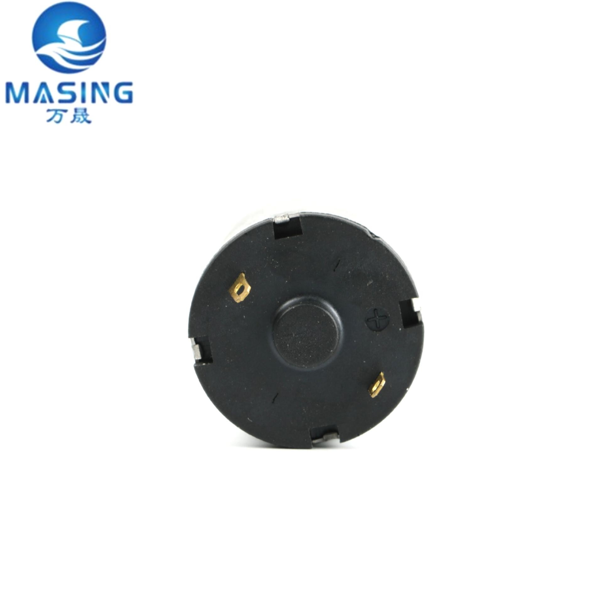 RS 528 520 Small DC Brushed Motor 24V 6000RPM Brushed DC Motor High Torque