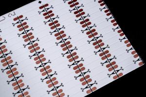  HOT 5050RGBW WW fpc High-Quality Flexible PCB Fast Prototype &amp; Mass Production Use For Led Light Double layer circuit board, double-sided WHITE film Manufactures