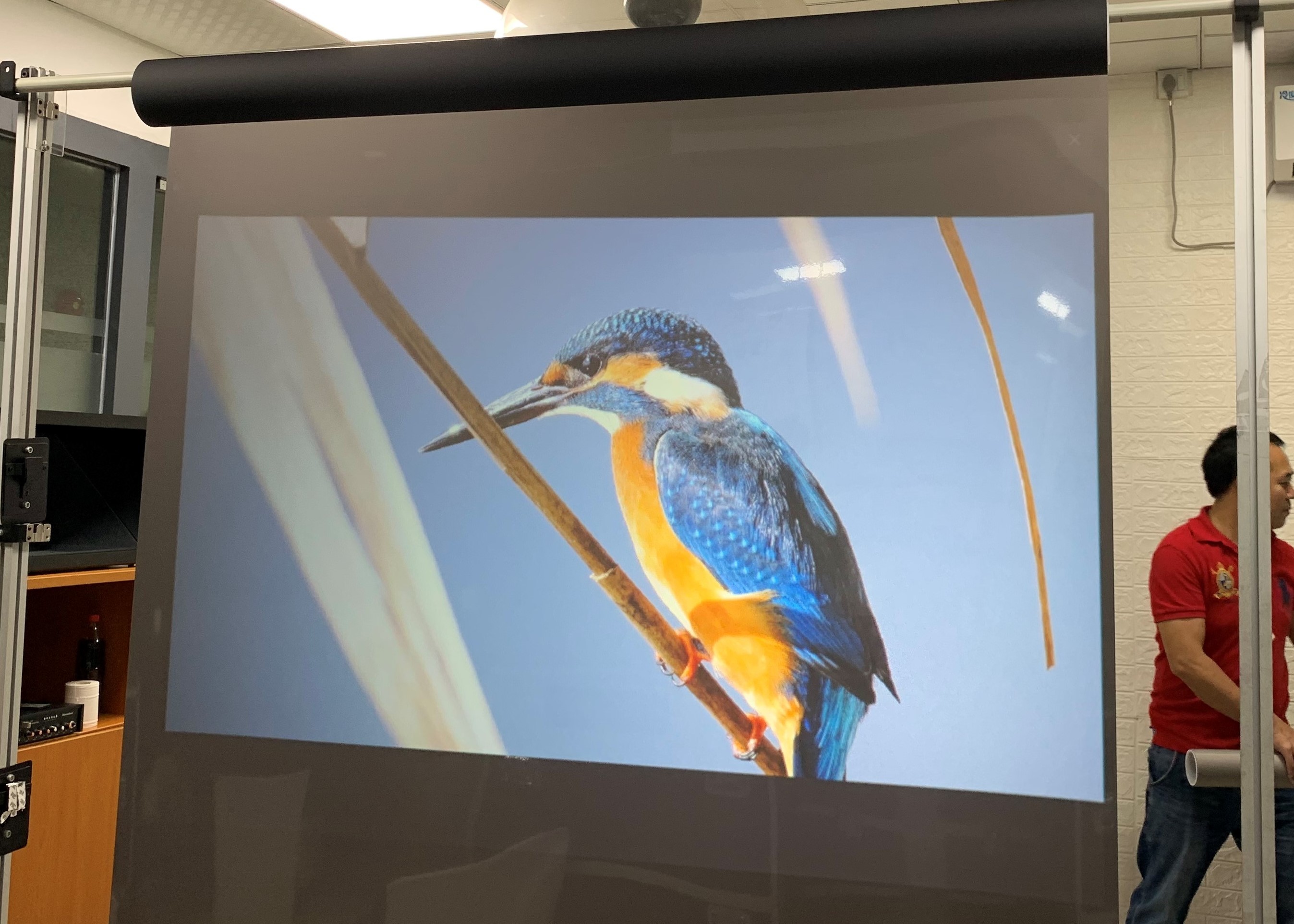 1.52 x 30 Meter Transparent Holographic Foil for Rear Projection on Glass