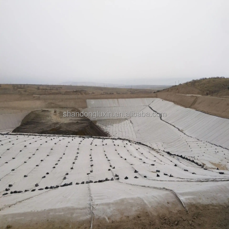 Width 2m-4m Composite Geotextile Plastics Geonet Drainage Net for Project Solutions