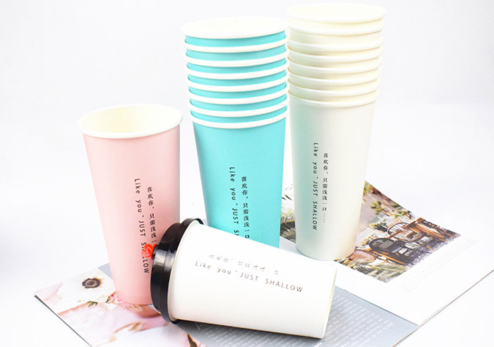 150gsm To 330gsm Single Side Matt PE Coated White Cup Carton Rolls For Cup Fan