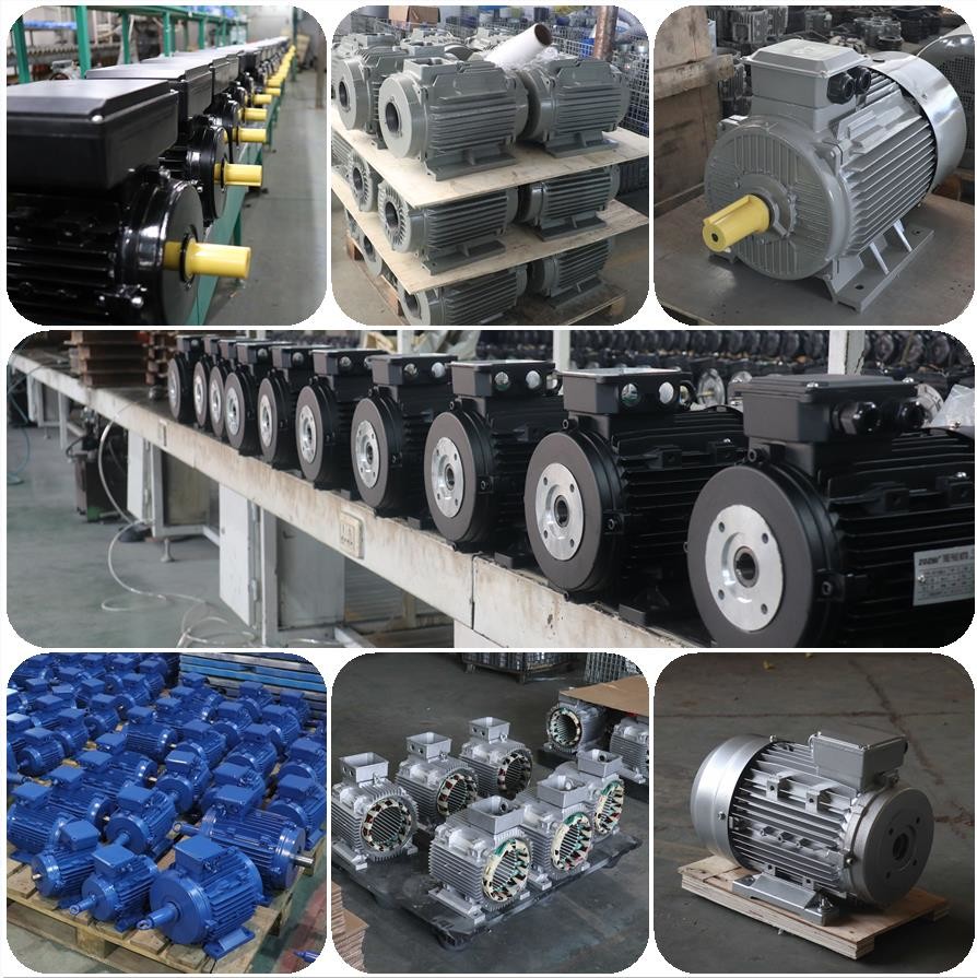 Pressure Washer Hollow Shaft Motor Φ24mm Diameter -20C- 40C Ambient Temperature