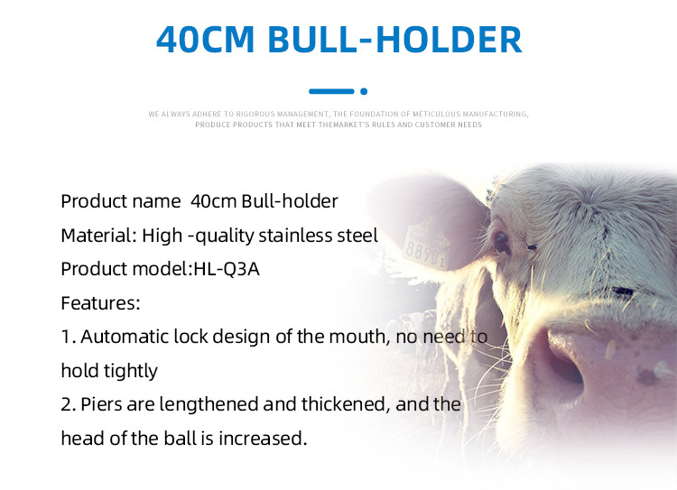 Rust Resistance 40CM Bull Holder For Streamlined Livestock Management Solutions