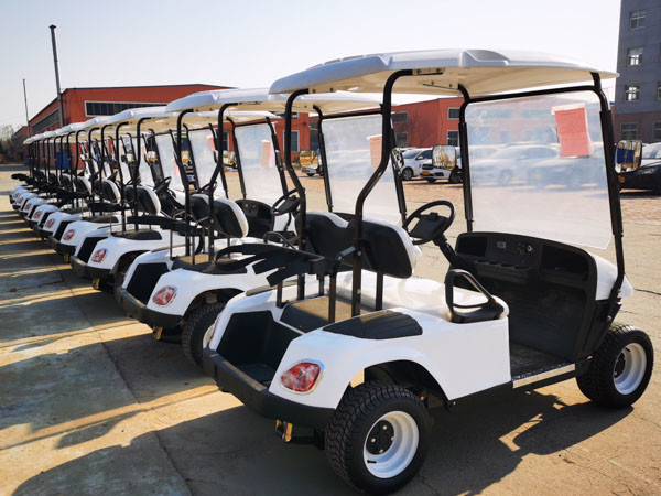 2021 Legal Street Aetric Community Sightseeiing Golf Carts 20Mph For Garden