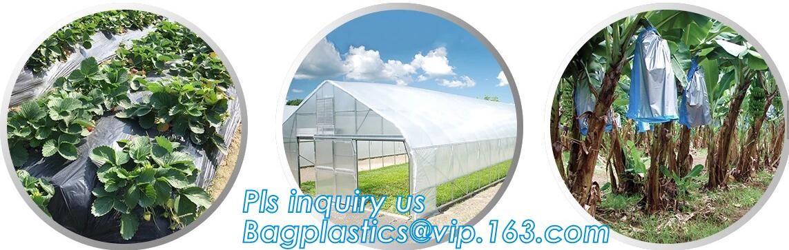 Poly Bags | Plastic Bags | Polyethylene Bags & Liners, Plastic Box Bags - Liners and Covers, plastic bags, poly bags, tr
