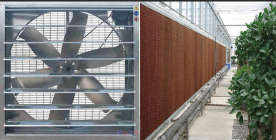 PC Sheet Commercial Outdoor Greenhouse , Cooling Pad Greenhouse Shading Systems