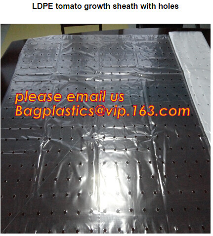 Multi-Span Plastic Film Cover Natural Ventilation Vegetable Greenhouse,Greenhouse Kits Plastic Greenhouse 200 micron gre