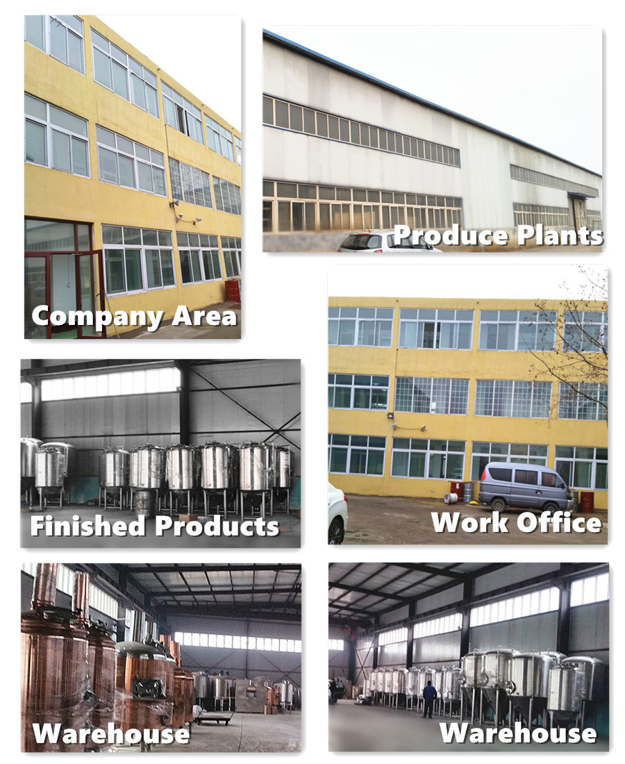 100L Micro Beer Brewing Equipment Advanced Technology for KG Production
