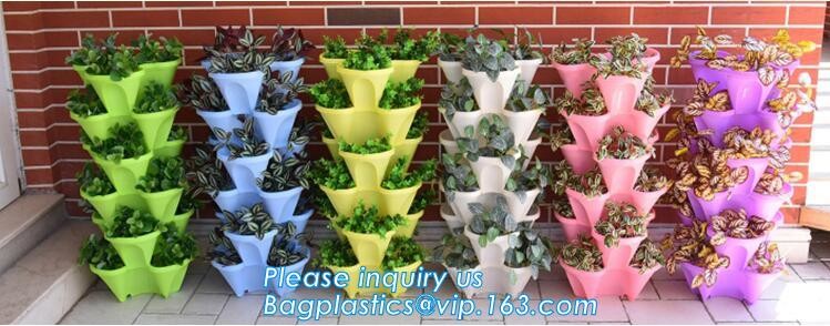 Transparent / Black / Silver / White color Plastic PE LDPE Agriculture Mulching Film,panda strawberry mulch film/black w