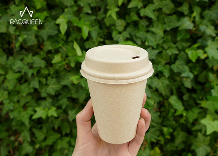Disposable Compostable Paper Cups Corn / Sugarcane Based Custom Size For Hot Drink