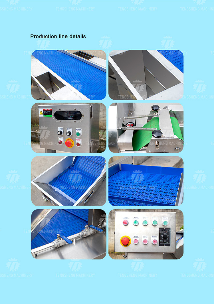 165MM Belt Industrial Vegetable Processing Machine Fruit Selection Washing Cutting Machine