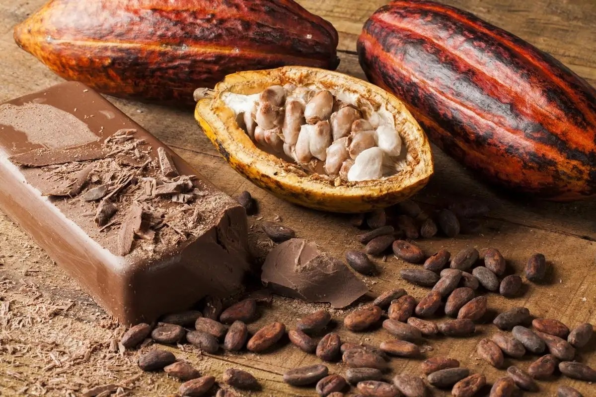 Wholesale Fat-reduced alkalized Ghana cocoa powder fat 10-12% For Beverage, Bakery，Confectionery, Ice-Cream