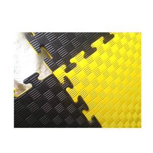 Custom Training Taekwondo Tatami EVA Puzzle Mats Double Color 2.5cm 3cm 4cm