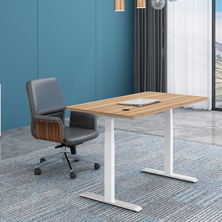 Custom Student Dual Motor Writing Desk for Height Adjustable Wood Desk in Zhejiang