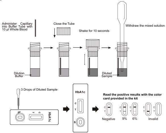 Citest CE HbA1c Glycated Hemoglobin Test Whole Blood Health Rapid Test