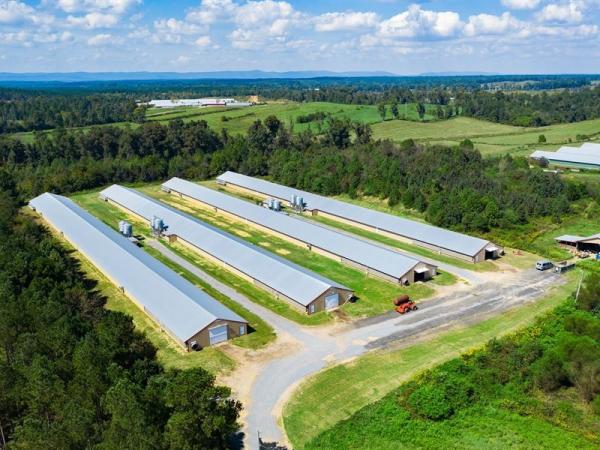 Prefab Steel Structure Chicken House Broiler Farm Steel Frame Building