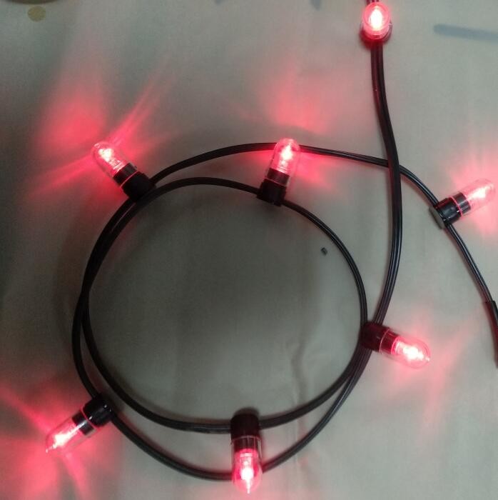 Low Voltage Powered Led String Lights pink color Christmas Led 100m Strings 666LED