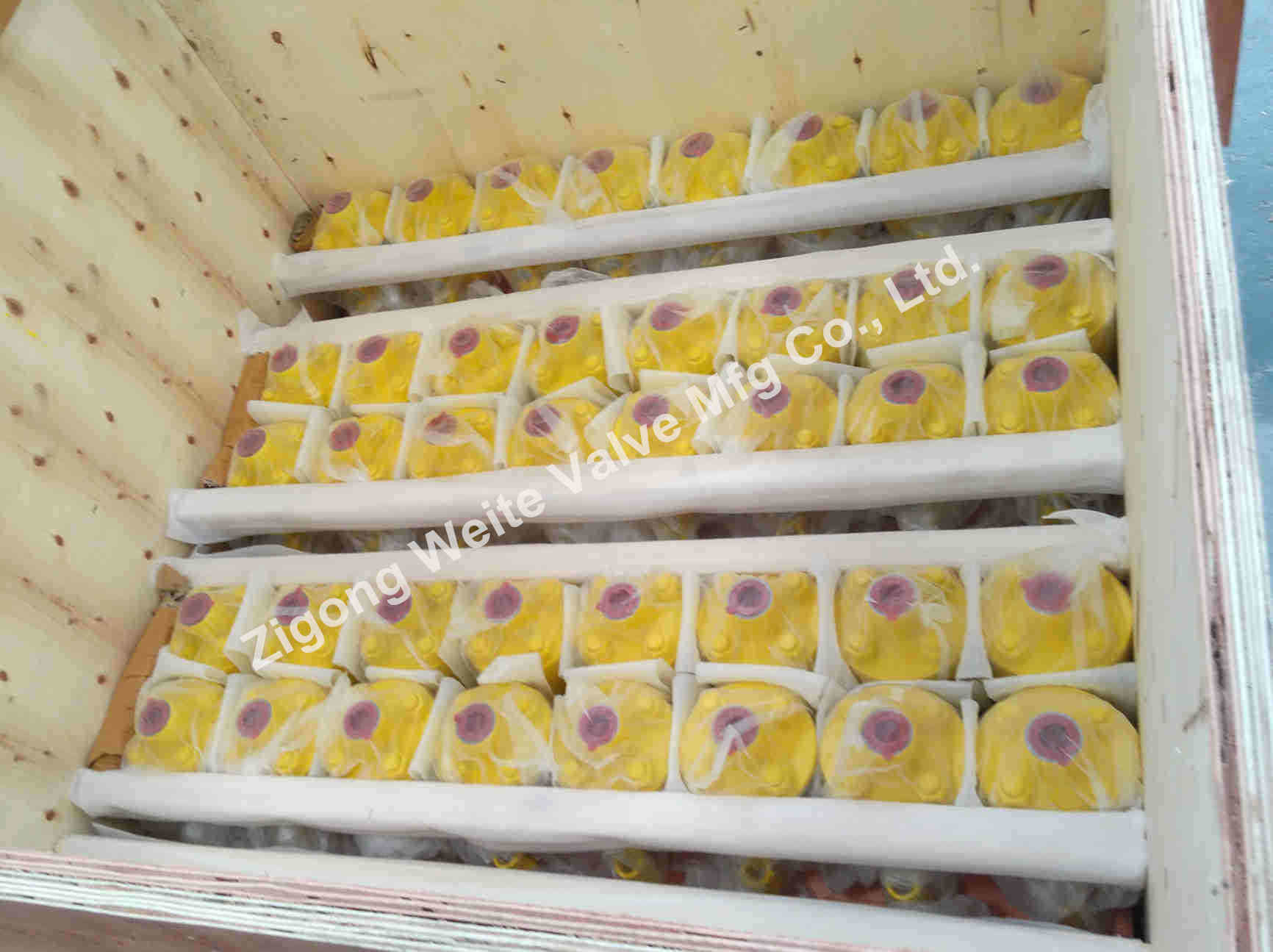 Soft Sealing F316 Ball Valve Forged Steel RPTFE Seat Anti Static